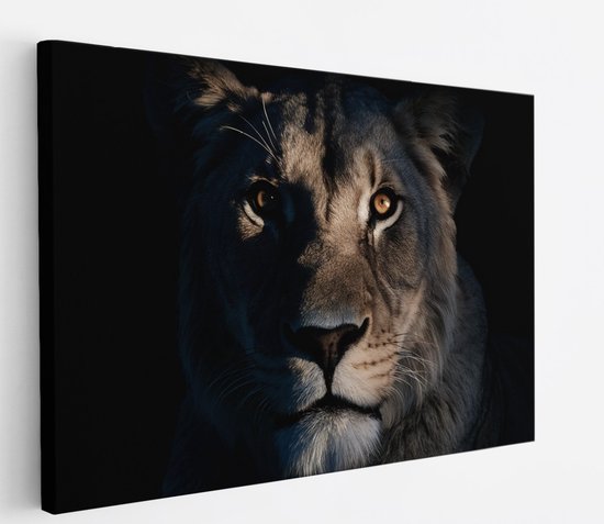 Saammp Canvas Schilderij - Leeuwen Portret - Lichtval - Dieren - Natuur - 90x60 - Foto op canvas - Wanddecoratie - Muurdecoratie Woonkamer - Slaapkamer decoratie - Canvas Print