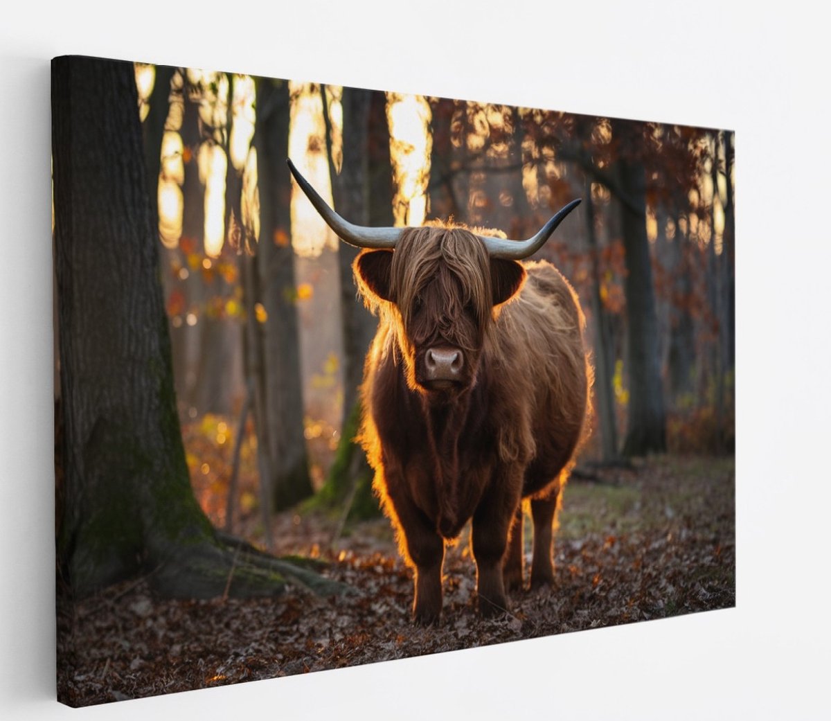 Saammp Canvas Schilderij - Schotse Hooglander Koe in een bos - Dieren - Portret - 40x30 - Foto op canvas - Wanddecoratie - muurdecoratie Woonkamer - Slaapkamer decoratie - Canvas Print Multicolor