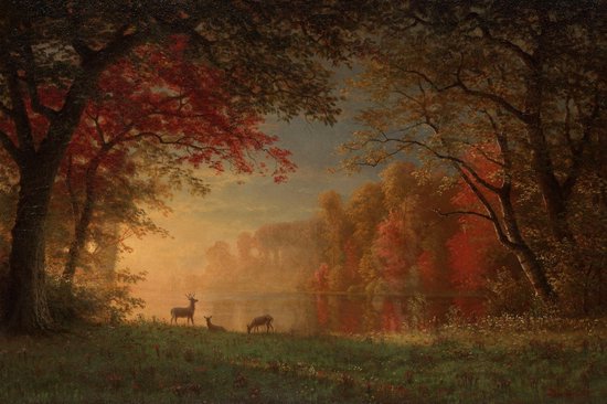 Tableau Cerf Coucher De Soleil