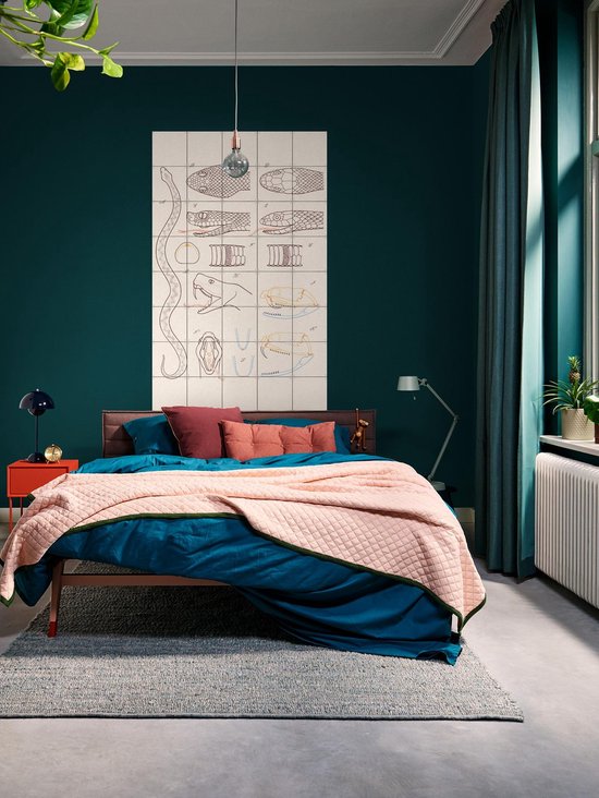 IXXI Serpent - Anatomie, Aster Edition - 100 x 140 cm - Gratis ophangtool - Grote wanddecoratie en posters - Technische Tekening, Illustraties, Line