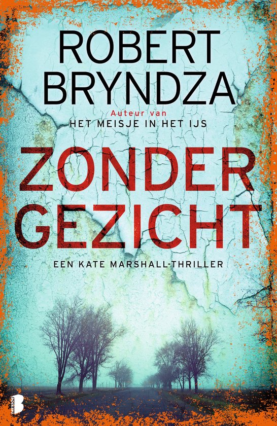 Zonder gezicht - cover