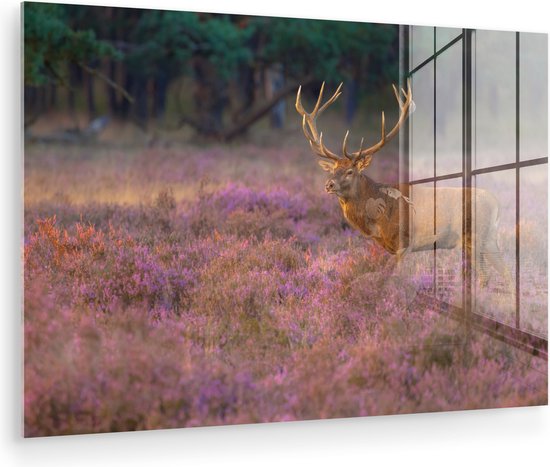 Peintures en plexiglas - Cerf - Pays- Nederland - Fleurs - Veluwe - 60x40 cm - Peinture sur verre