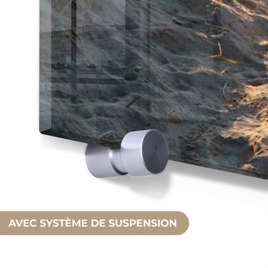 MuchoWow® Tableau sur Verre - Plage - Mer - Nederland - Dunes - Soleil - 20x20 cm - Décoration de Plage - Peintures sur Verre Acrylique - Photo sur Glas