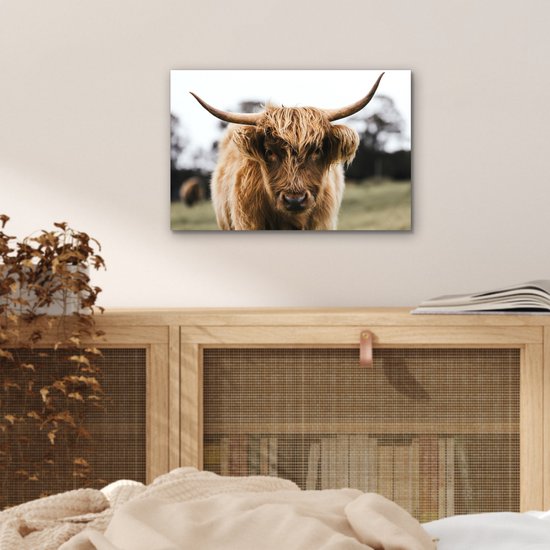 Aluminium schilderij 30x20 cm - Wanddecoratie metaal - Schotse Hooglander - Koe - Gras - Dieren - Natuur - Metalen muurdecoratie woonkamer - Decoratie industrieel - Foto op dibond - Industriële accessoires slaapkamer