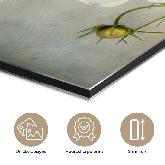 Aluminium schilderij 180x120 cm - Wanddecoratie metaal - Bloemen - Stilleven - Klaproos - Wit - Botanisch - Metalen muurdecoratie woonkamer - Decoratie industrieel - Foto op dibond - Industriële accessoires slaapkamer