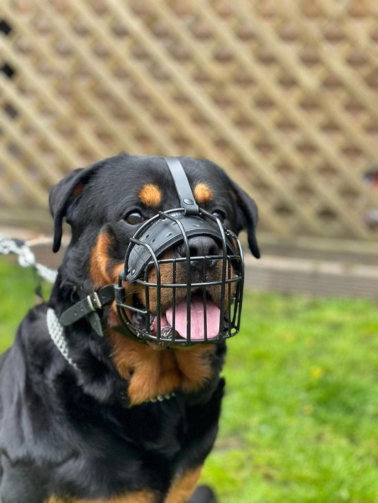 CleverTail Extra großer Hundemaulkorb für Rottweiler - XL Heavy Duty