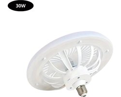 Nivard Plafondventilator - Met Verlichting - Plafond Ventilator - Met Lamp - Plafonniere Met Ventilator - (Met Licht) - Wit - 25cm