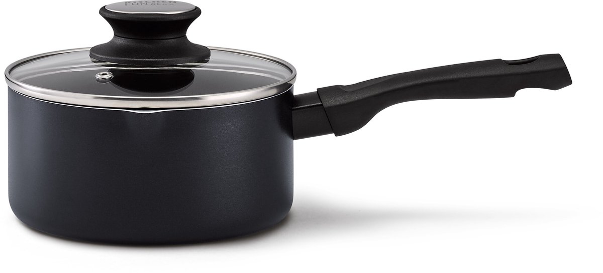Kitchen Fun Salsa Steelpan met 2 Giettuiten & Deksel - 1,2L - Ø 16cm