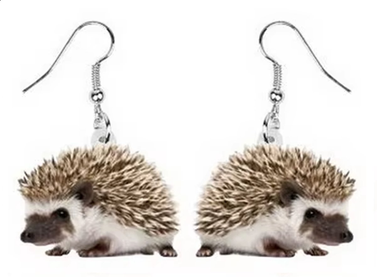 Oorbellen Egels
