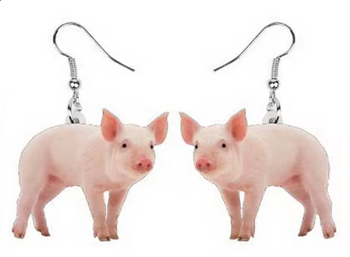 Oorbellen Biggetjes