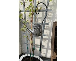 Kynast Garden Solar LED verlichting Gieter lamp Gietkan lamp voor tuin of terras LED waterval in gieter 94cm 24 LED's, Gieter tuindecoratie