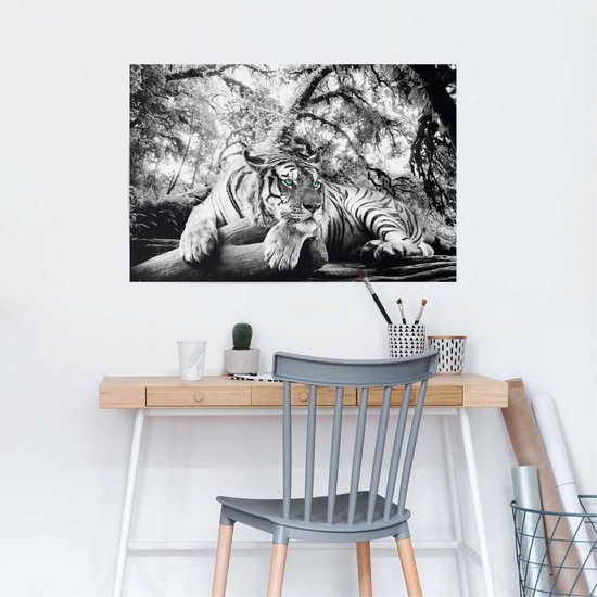 Tigre - Affiche 91,5 x 61 cm