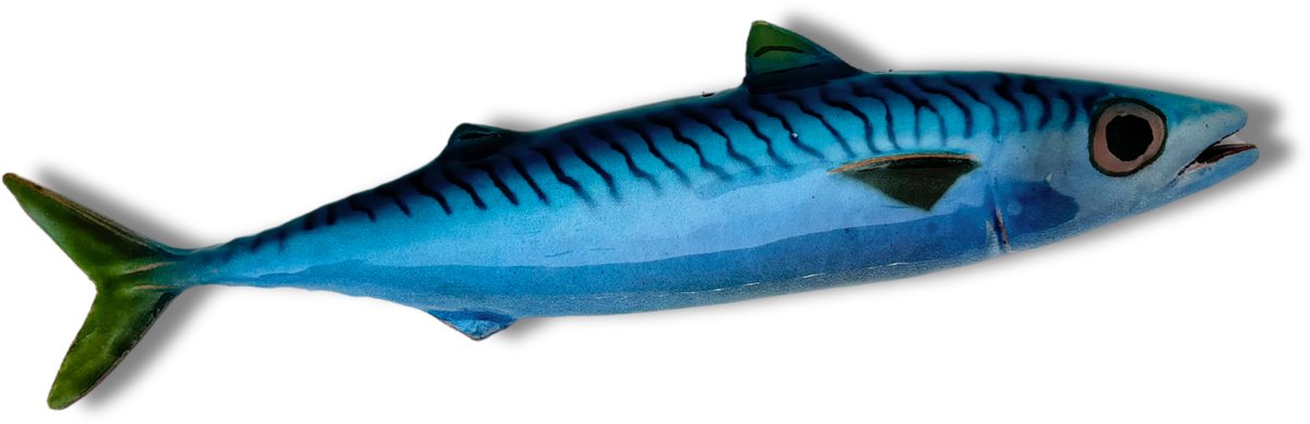 Tombarello 26 cm lang