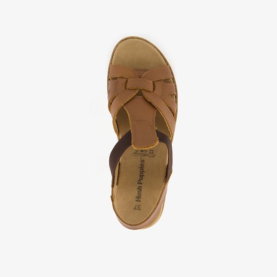 van haren hush puppies