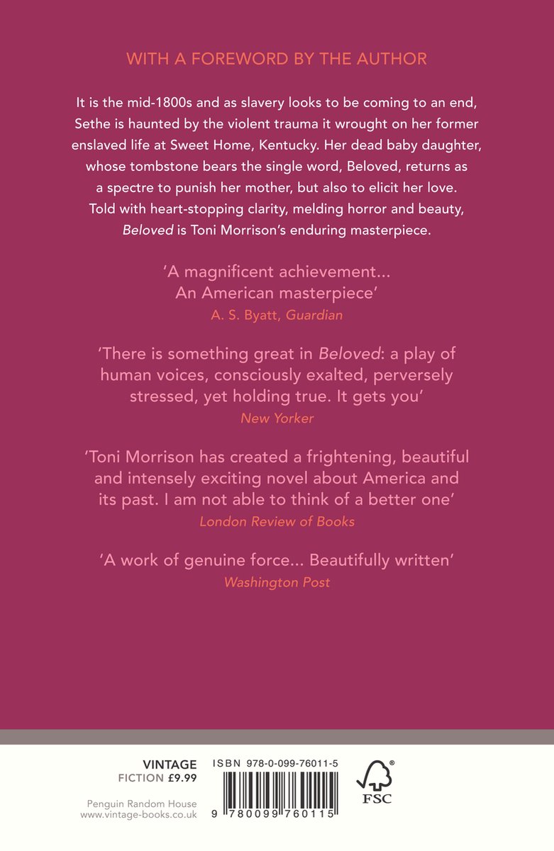 Achterkant van het boek 'Beloved' met recensies en uitgeversinformatie.
