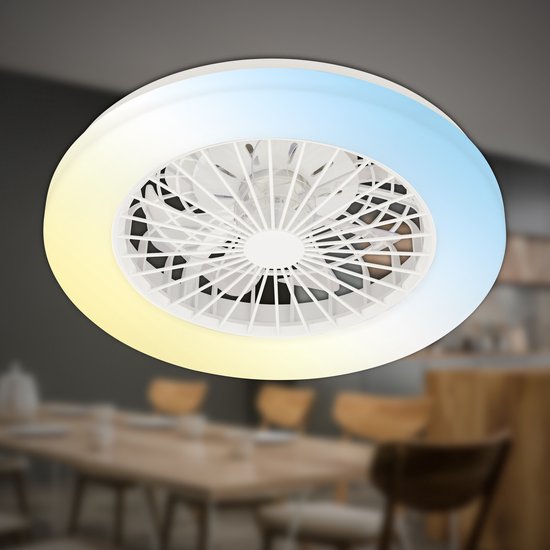 BRILONER - Ventilateur de plafond avec éclairage - Plafonnier LED avec ventilateur - dimmable - 5 vitesses - Ø48,5cm - blanc