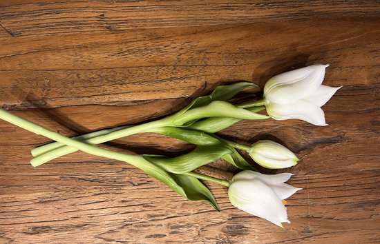 Countryfield- Tulipes Reeltouch - blanches - 28 cm