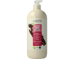 Sante Naturkosmetik Glossy Shine Shampoo