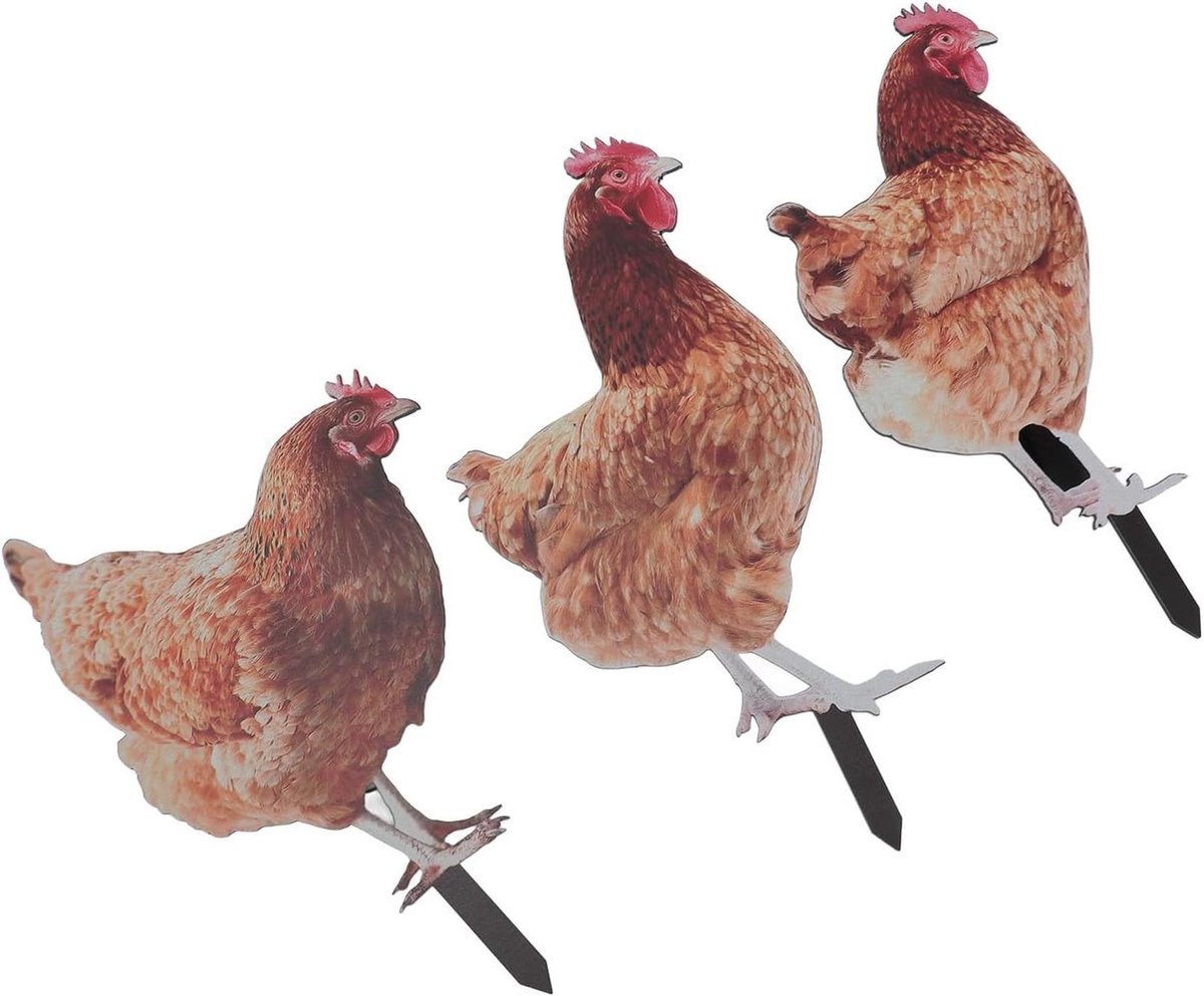 Titel: Realistic Acrylic Chicken Stakes - 3-Piece Decorative for Outdoor
