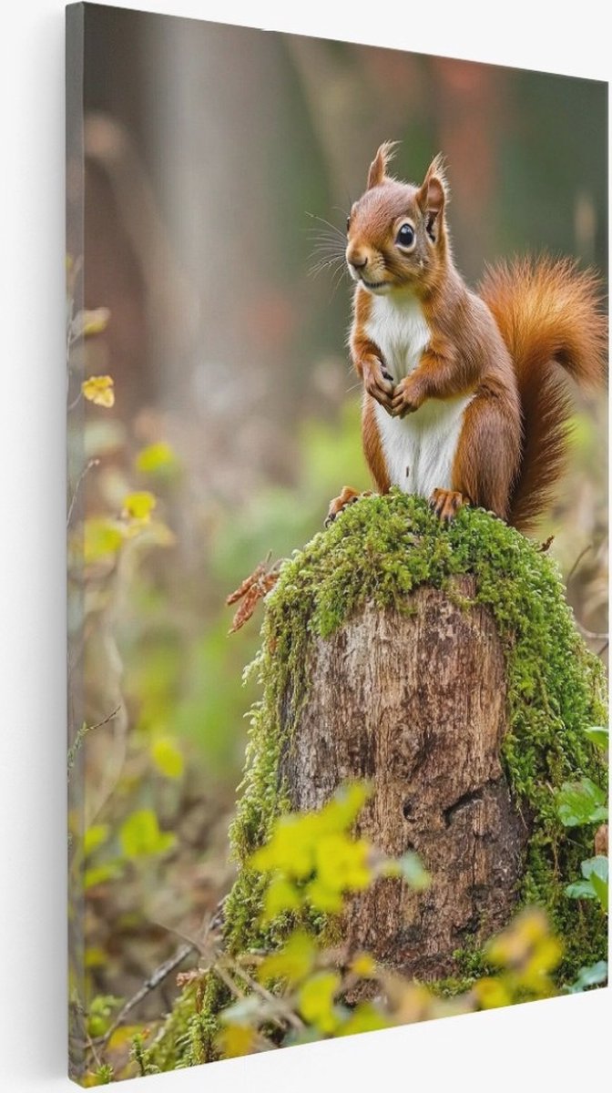 Saammp Canvas Schilderij - Eekhoorn op Boomstronk - Natuur - Dieren - 50x70 - Foto op canvas - Wanddecoratie - Muurdecoratie Woonkamer - Slaapkamer decoratie - Canvas Print Multicolor