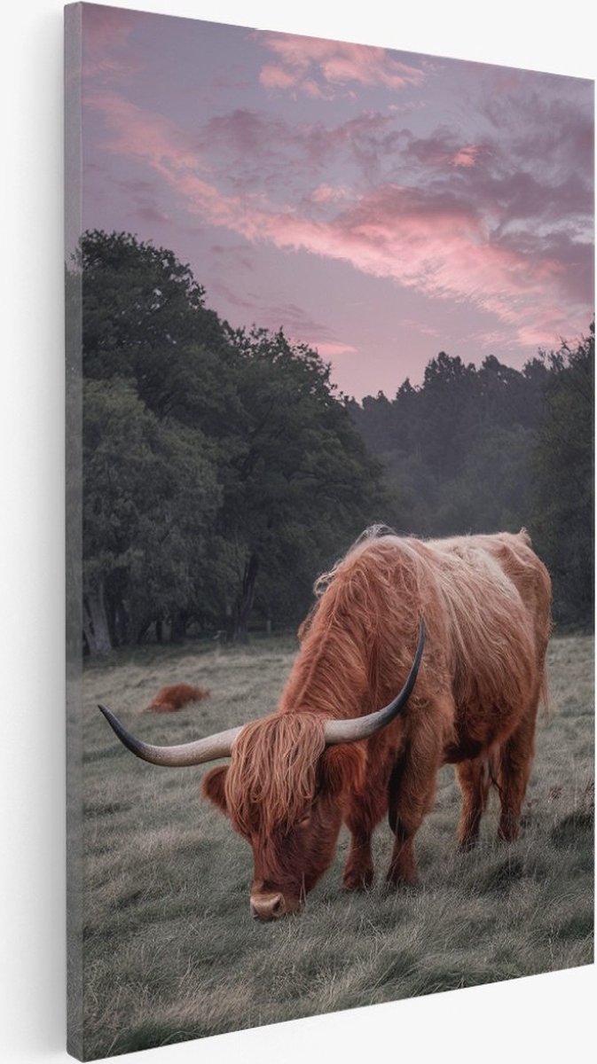 Saammp Canvas Schilderij - Schotse Hooglander Koe in de wei - Schotland - Dieren - 60x90 - Foto op canvas - Wanddecoratie - Muurdecoratie Woonkamer - Slaapkamer decoratie - Canvas Print Multicolor