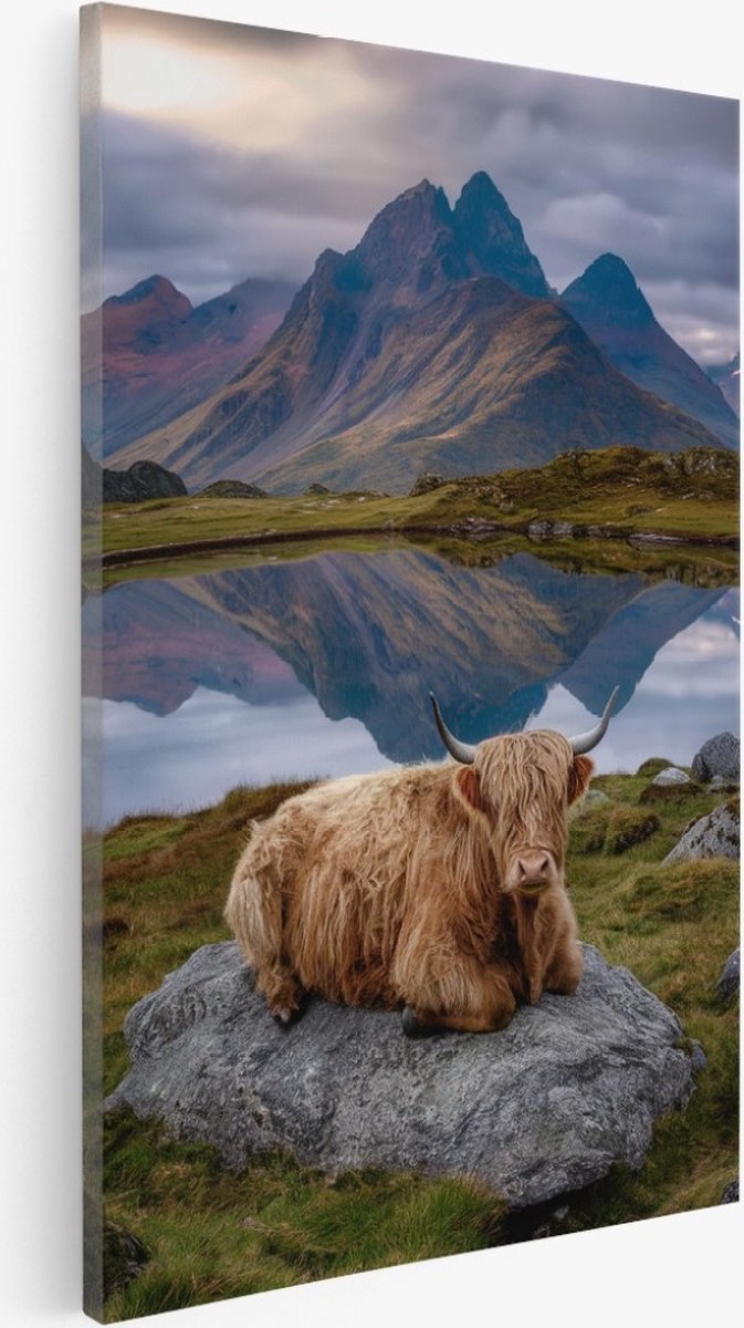 Saammp Canvas Schilderij - Schotse Hooglander Koe op steen - Natuur - Dieren - 75x100 - Foto op canvas - Wanddecoratie - Muurdecoratie Woonkamer - Slaapkamer decoratie - Canvas Print Multicolor