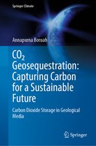 Springer Climate- CO₂ Geosequestration: Capturing Carbon for a Sustainable Future