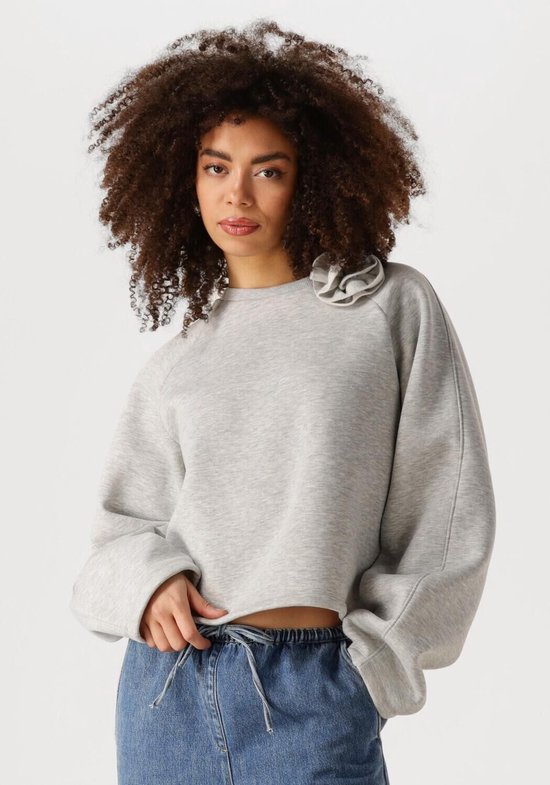 Pull Xezal EDITED Pulls et Gilets Femme - Pull - Sweat à capuche - Cardigan - Grijs - Taille 42