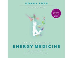 The Little Book of Energy Medicine