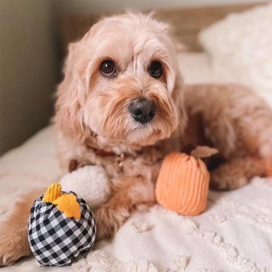 Compra ZippyPaws Halloween Miniz Paquete De 3 - Calabazas Al Por Mayor