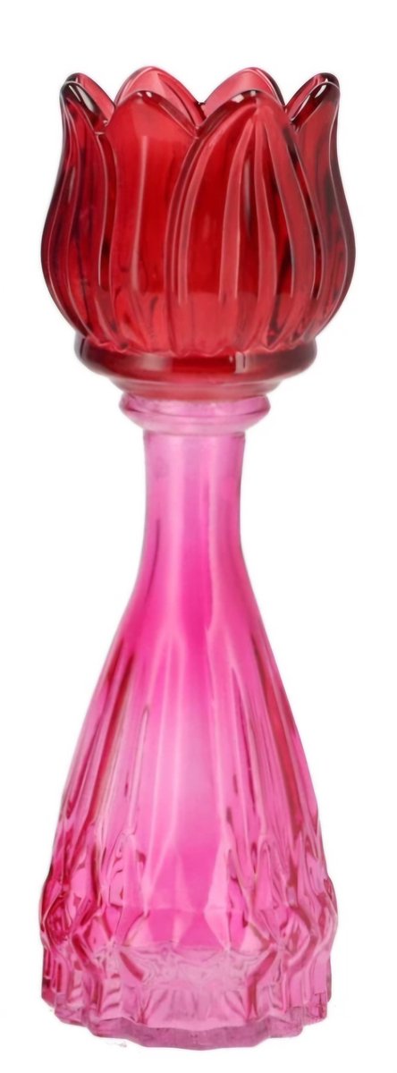 Bicolore dutch pink mix tulip vase 7x22cm