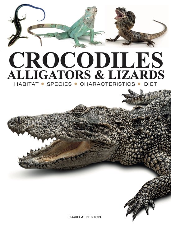 Mini Encyclopedias- Crocodiles, Alligators & Lizards