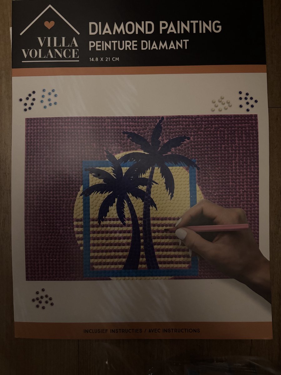 Villa Volance - Diamond Painting - Tropisch - Palmbomen - Zon