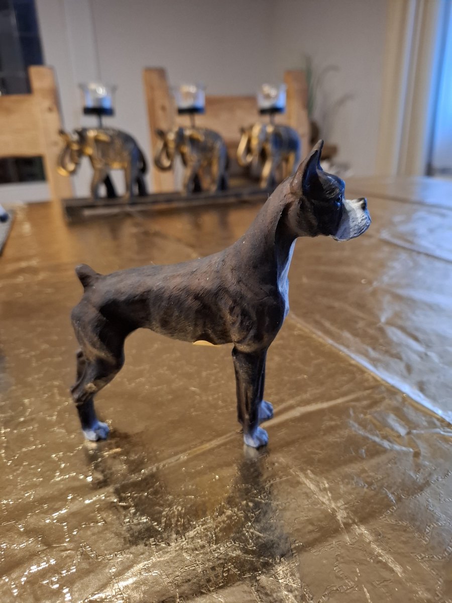 beeld Boxer