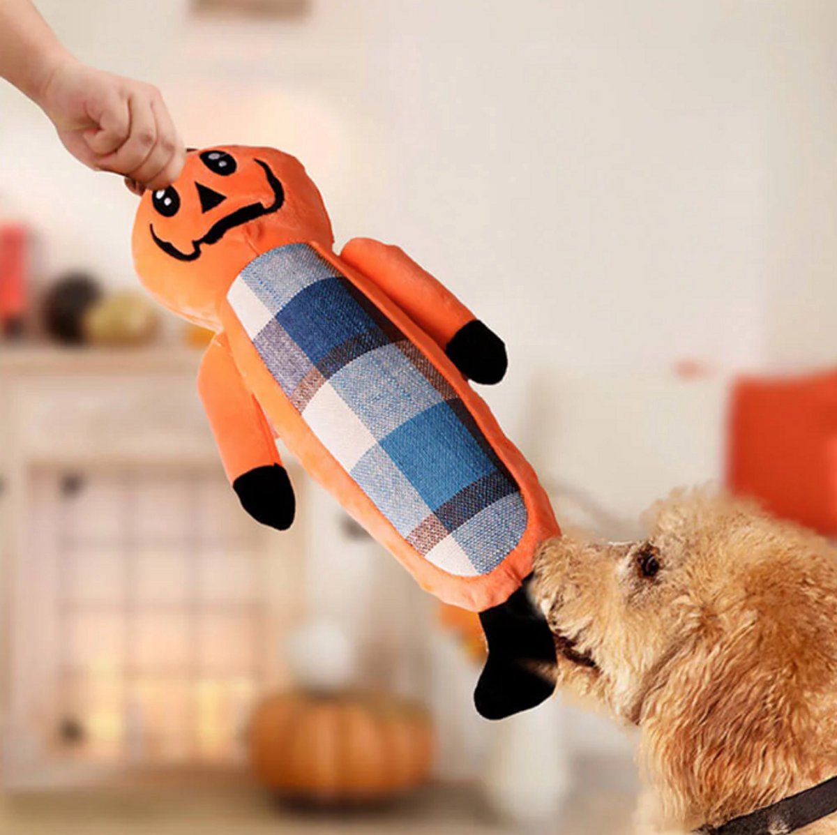 Halloween Pompoen Hondenspeelgoed – Kauwspeelgoed Set met Touw – Sterk en Veilig voor Puppy’s en Honden – Interactief Speelgoed voor Kleine en grote Honden