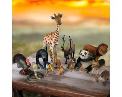 Dierentuin dieren speelset Wildlife 4-12 cm (12 dieren)