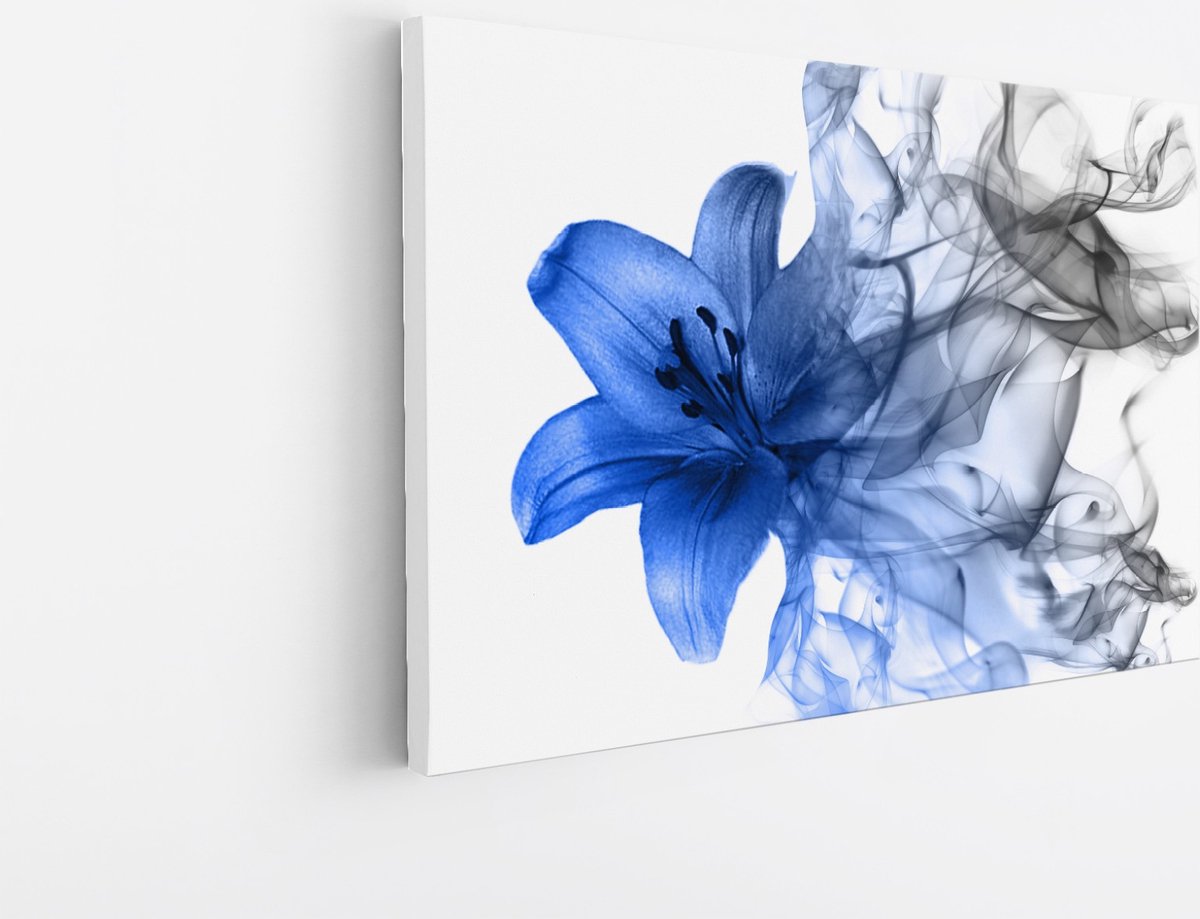 Saammp Canvas Schilderij - Blauwe bloem - Natuur - 50x40 - Foto op canvas - Wanddecoratie - Muurdecoratie Woonkamer - Kantoor Decoratie Multicolor