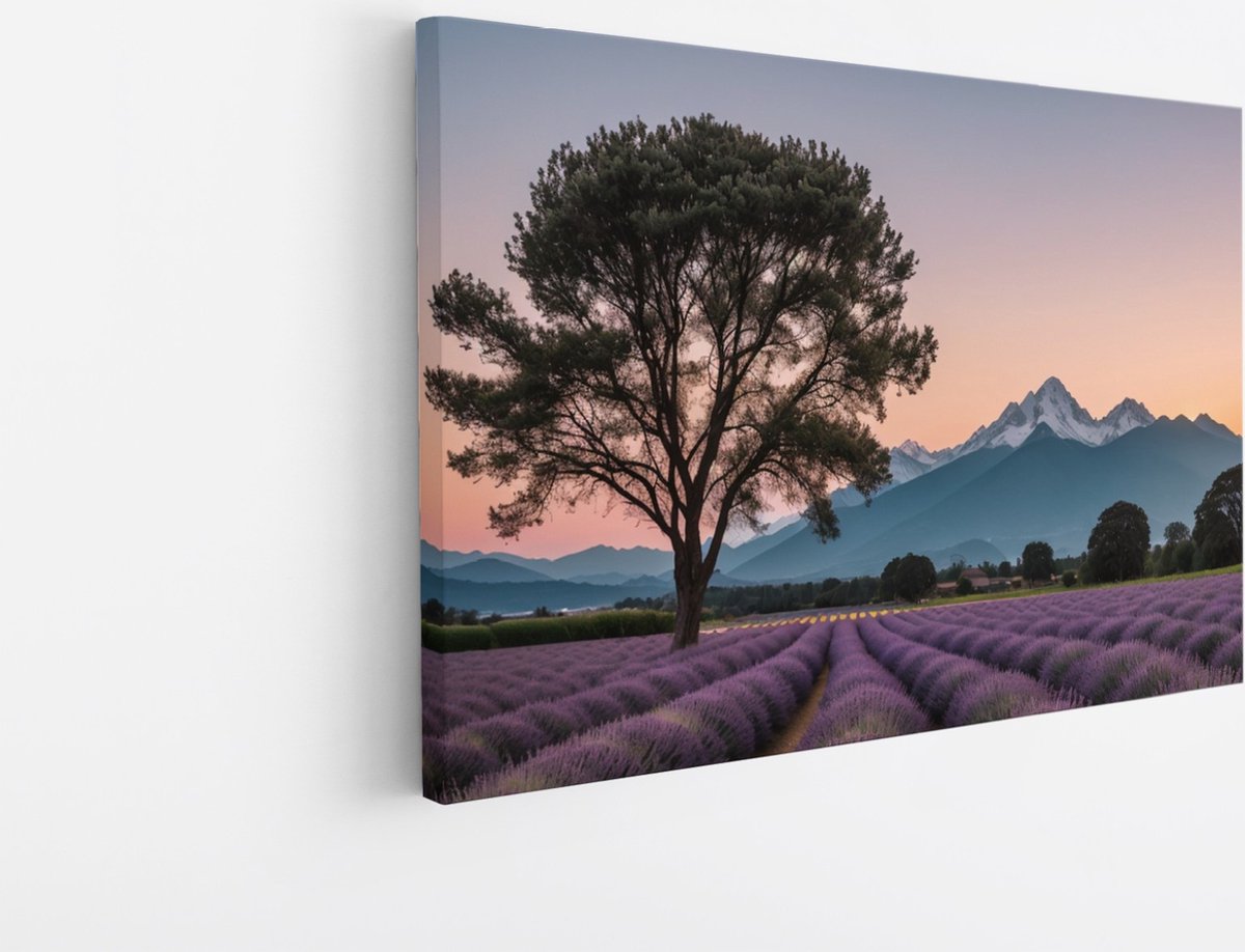 Saammp Canvas Schilderij - Landschap - Grote boom tussen de lavendel - Natuur - 70x50 - Foto op canvas - Wanddecoratie - Muurdecoratie Woonkamer - Slaapkamer decoratie - Canvas Print Multicolor