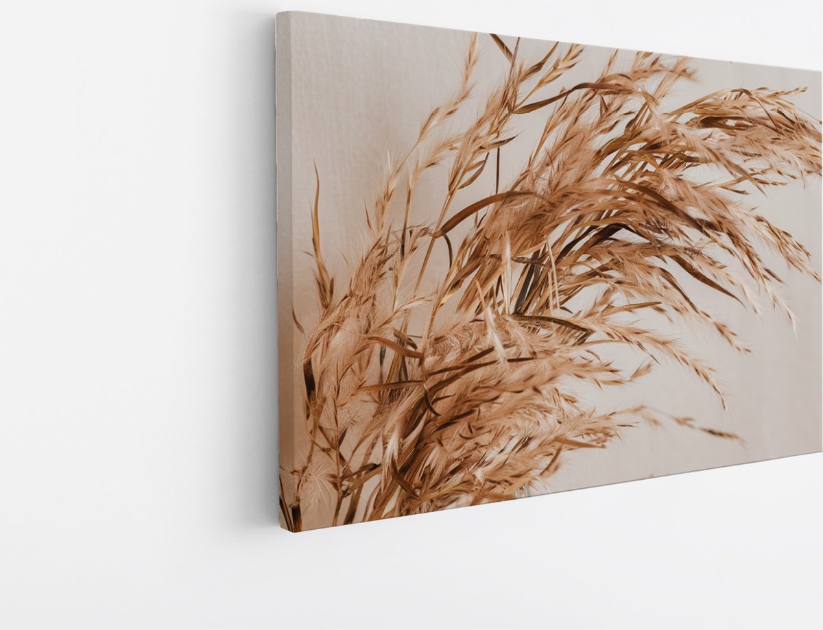 Saammp Canvas Schilderij - Sierlijke Pampasgrassen - Natuur - Abstract - 30x20 - Foto op canvas - Wanddecoratie - Muurdecoratie Woonkamer - Kantoor Decoratie Multicolor