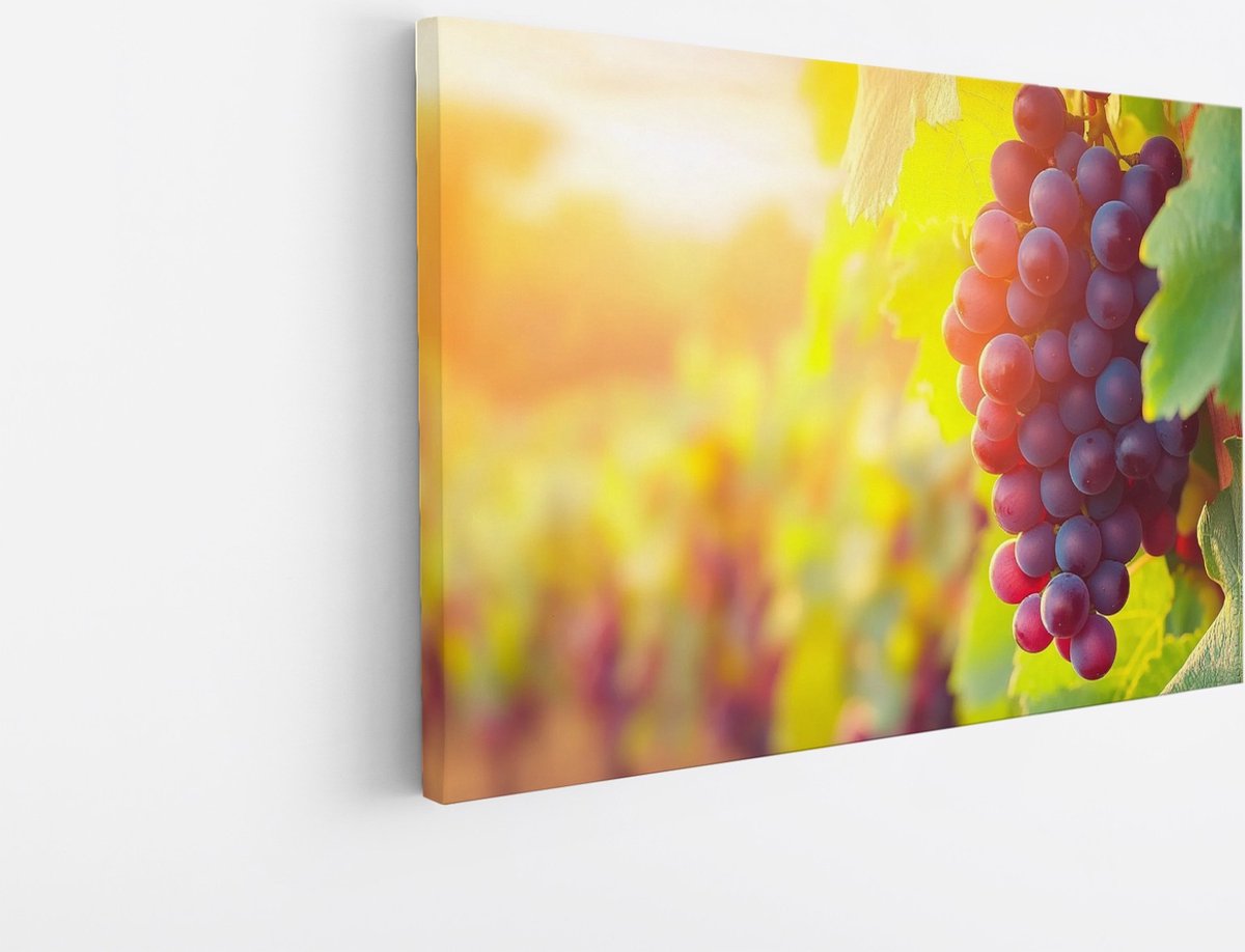 Saammp Canvas Schilderij - Druiventros in zonsondergang - Landschap - Natuur - 40x30 - Foto op canvas - Wanddecoratie - Muurdecoratie Woonkamer - Slaapkamer decoratie - Canvas Print Multicolor