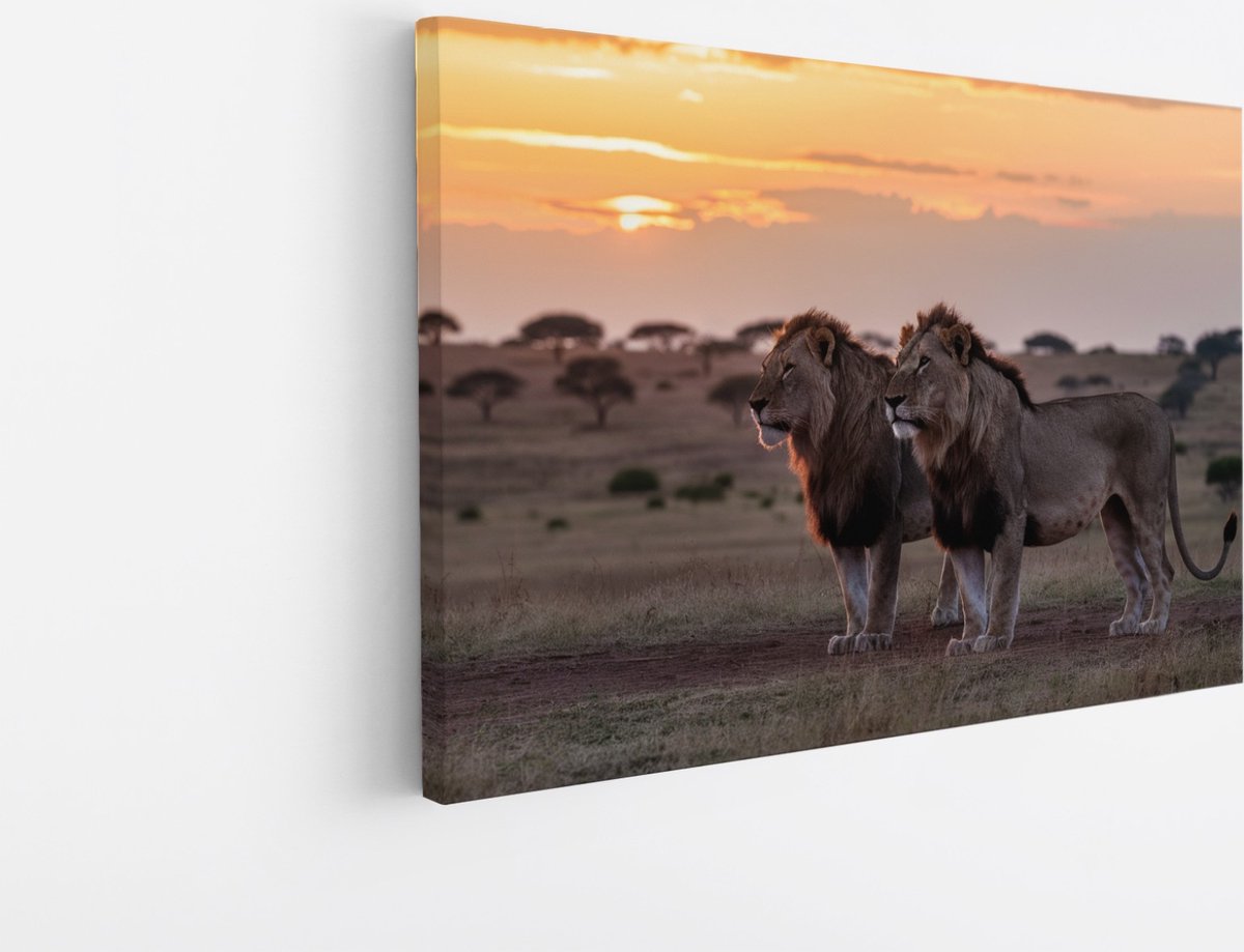 Saammp Canvas Schilderij - Leeuwen in de serangeti - Dieren - Natuur - 30x20 - Foto op canvas - Wanddecoratie - Muurdecoratie Woonkamer - Slaapkamer decoratie - Canvas Print Multicolor