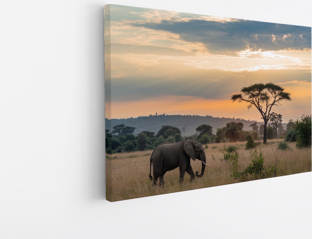 Saammp Canvas Schilderij - Olifant tijdens zonsondergang in de serangeti - Afrika - Dieren - 70x50 - Foto op canvas - Wanddecoratie - muurdecoratie Woonkamer - Slaapkamer decoratie - Canvas Print Multicolor