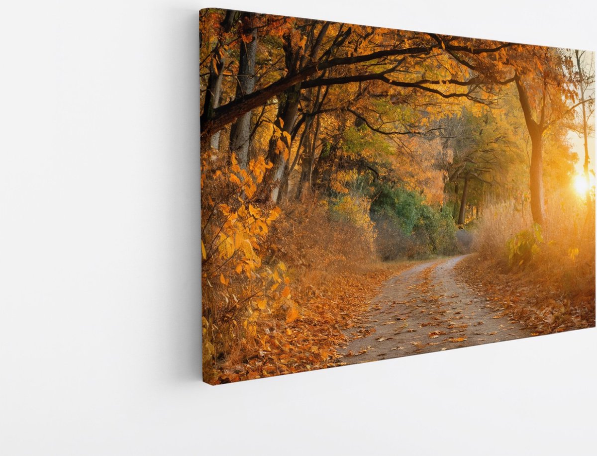 Saammp Canvas Schilderij - Weg door het bos - Herfst - Landschap - Natuur - 70x50 - Foto op canvas - Wanddecoratie - Muurdecoratie Woonkamer - Slaapkamer decoratie - Canvas Print Multicolor