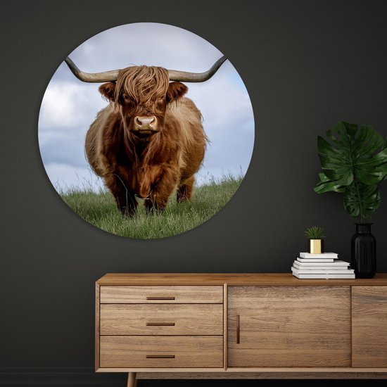 Saammp Cercle Mural Bois - Vache Highlander Écossaise dans le pré - Nature - Animaux - Ø 40 - Cercle Mural - Décoration murale - Décoration murale Murale Salon - Décoration Chambre - Tableau Rond