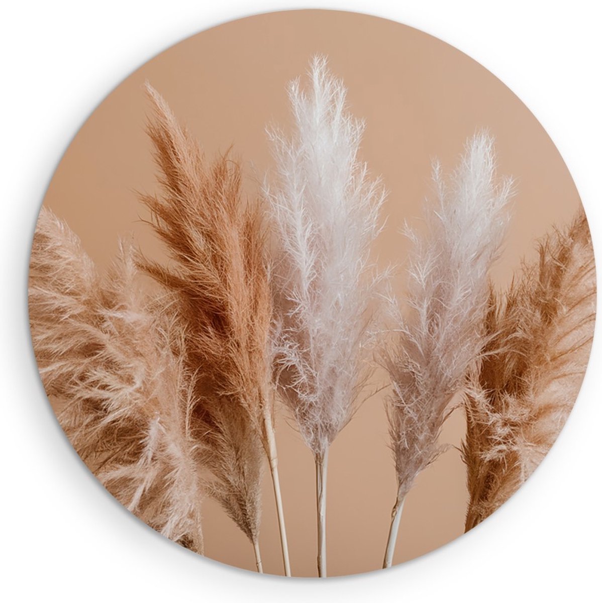 Saammp Muurcirkel Hout - Pampas pluimen - Bloemen - Natuur - Ø 40 - Wandcirkel - Wanddecoratie Cirkel - Muurdecoratie Woonkamer - Kantoor Decoratie