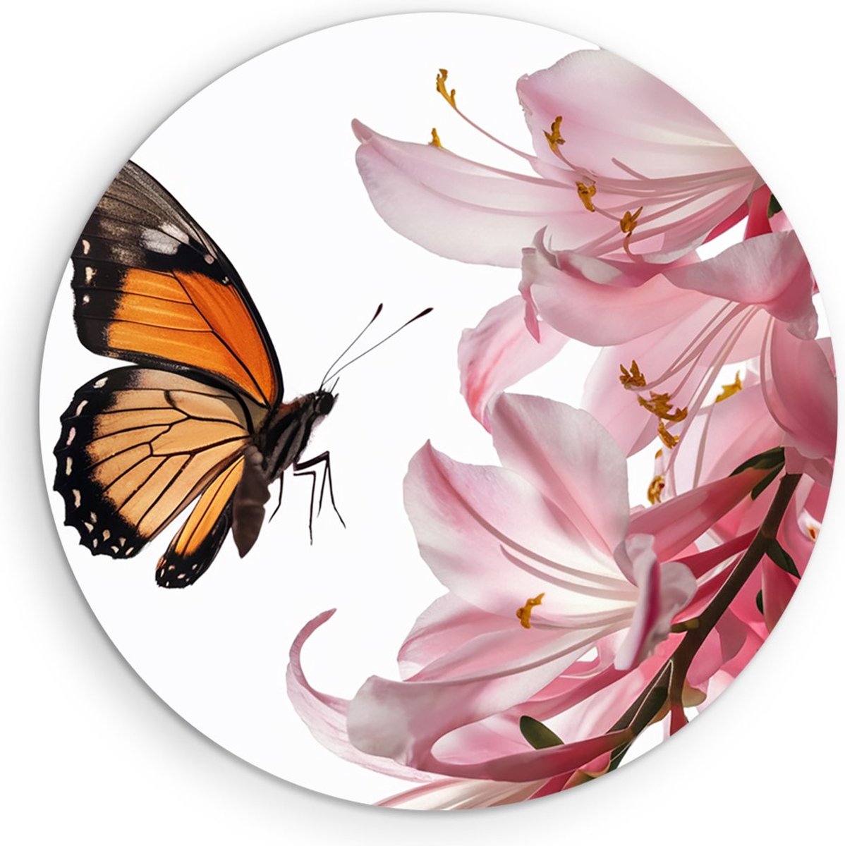 Saammp Forex Muurcirkel - Vlinder op roze bloem - Landschap - Natuur - Ø 90 - Wandcirkel - Wanddecoratie Cirkel - Muurdecoratie Woonkamer - Slaapkamer decoratie - Rond Schilderij