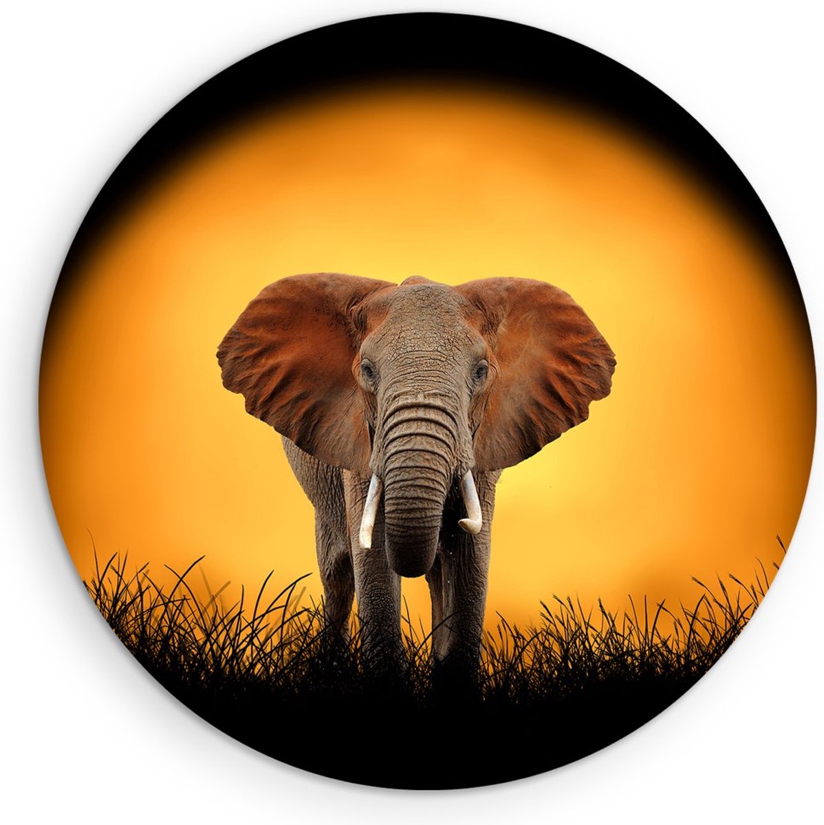 Saammp Muurcirkel Hout - Olifant voor de zon - Natuur - Dieren - Ø 50 - Wandcirkel - Wanddecoratie Cirkel - Muurdecoratie Woonkamer - Slaapkamer decoratie - Rond Schilderij