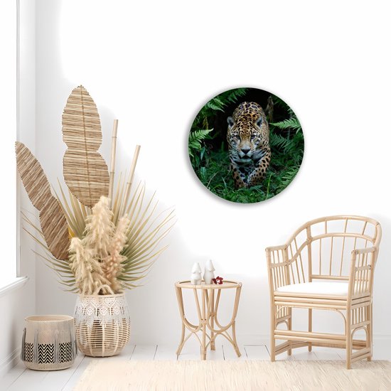 Saammp Cercle Mural Bois - Jaguar dans la nature - Animaux - Ø 30 - Cercle Mural - Décoration murale Cercle - Décoration murale Salon - Décoration Chambre - Tableau Rond