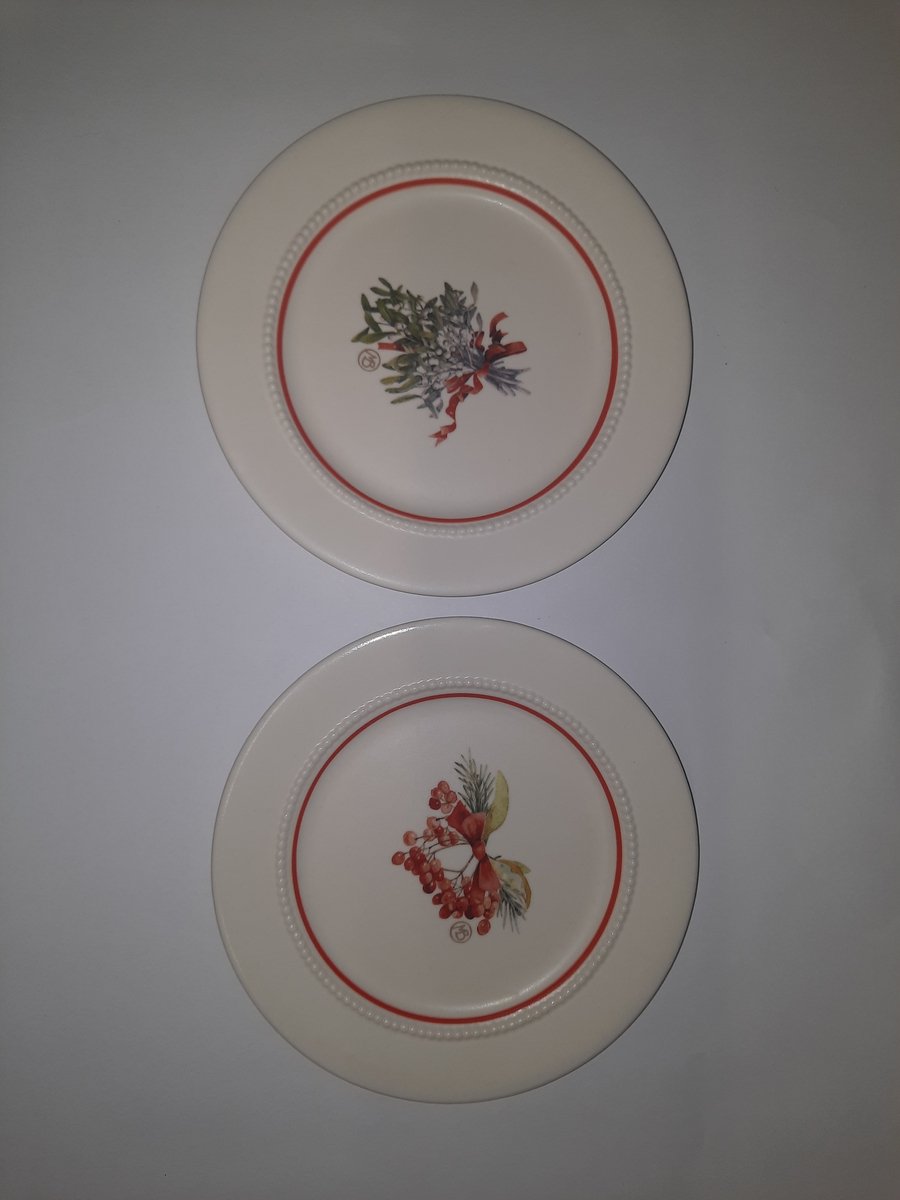 Appetizer Plates - Set of 4 Assorted