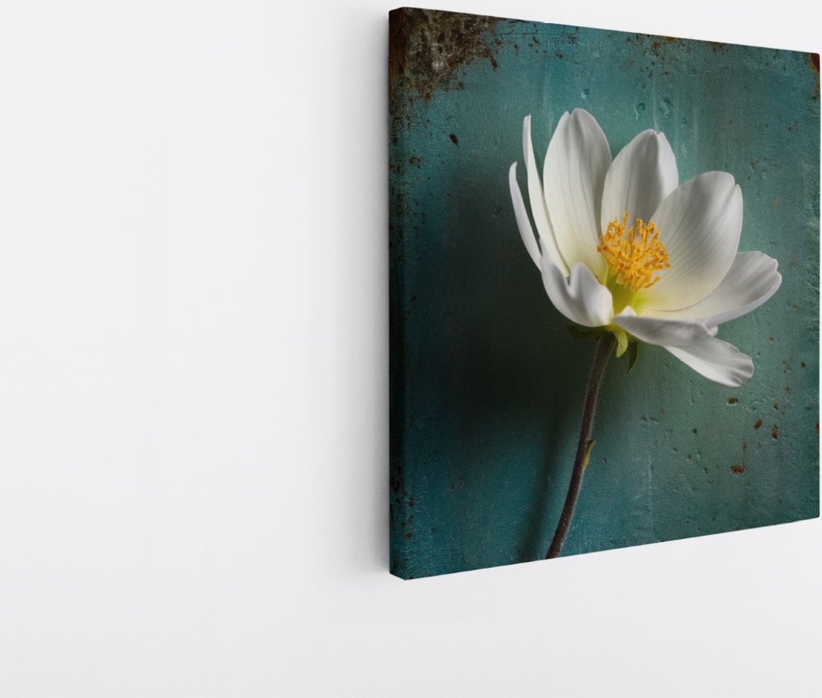 Saammp Canvas Schilderij - Abstracte Witte Bloem - vintage - Abstract - 100x100 - Foto op canvas - Wanddecoratie - Muurdecoratie Woonkamer - Kantoor Decoratie Multicolor